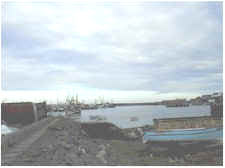 Newlyn harbour fishing fleet
