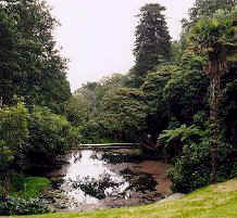 helegan cornwall
