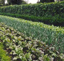 gardens