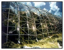 worlds biggest greenhouse