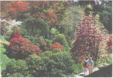national trust gardens