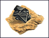 Philip Rashleigh, Mineral Collector