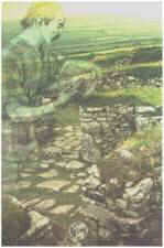 chysauster Iron Age Settlement Cornwall