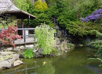 Japanese Garden and Bonsai Nursery, Newquay, Cornwall