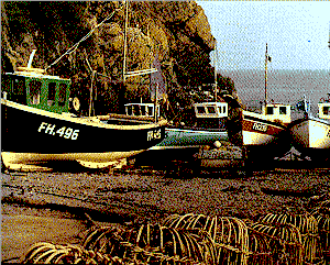 fishing harbours